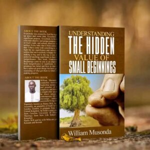 Book Title: Understanding the Hidden Value of Small Beginnings - William Musonda