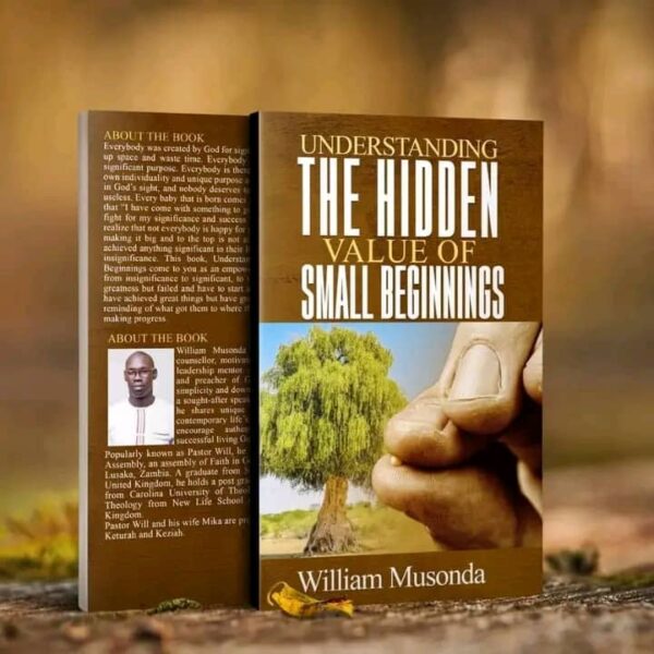 Book Title: Understanding the Hidden Value of Small Beginnings - William Musonda